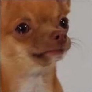 Meet your Posher, Ninja